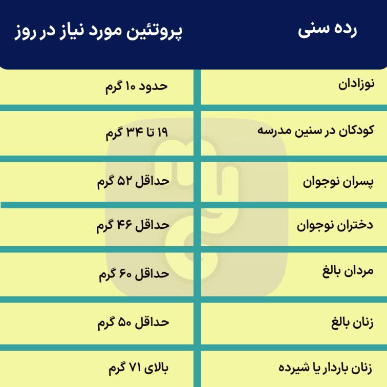 پروتئین مواد غذایی